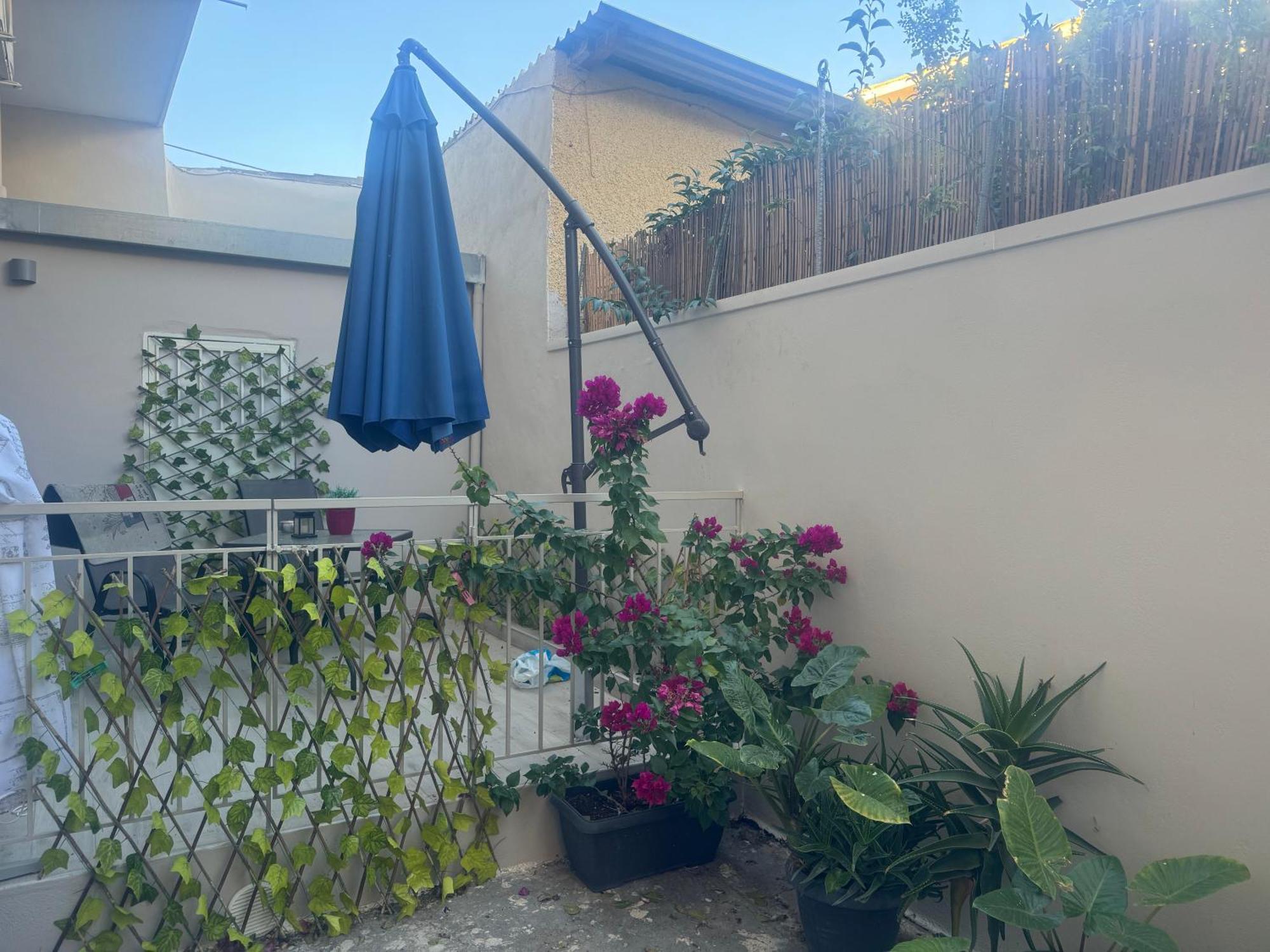 Luxury Seafront House Nearby Delphi Apartment Kirra Ngoại thất bức ảnh