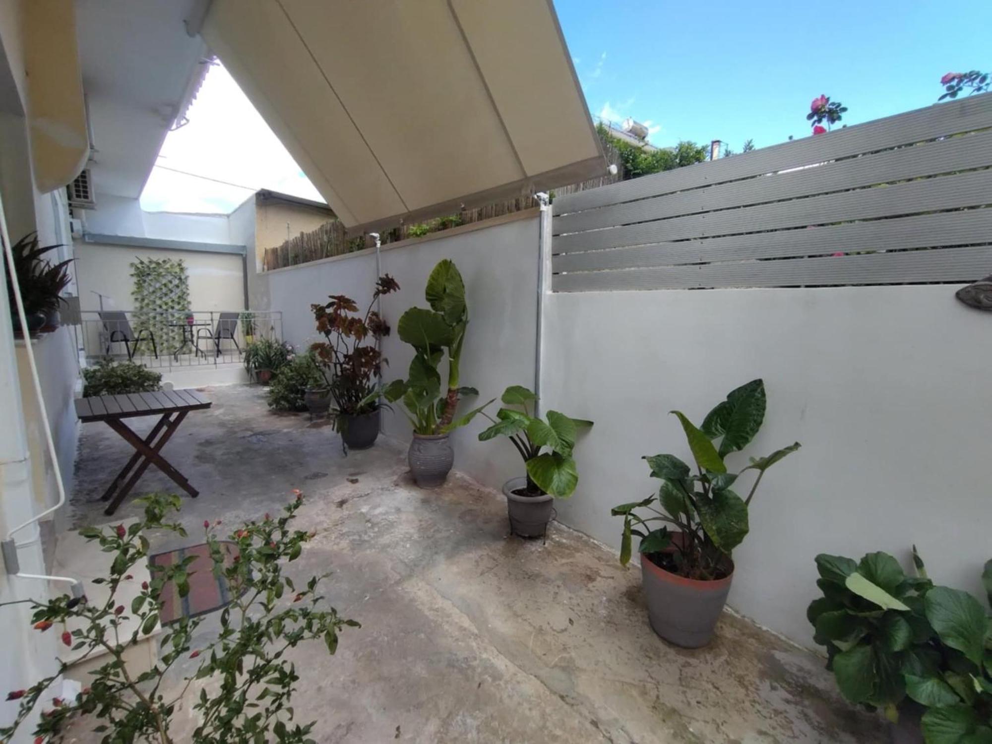 Luxury Seafront House Nearby Delphi Apartment Kirra Ngoại thất bức ảnh